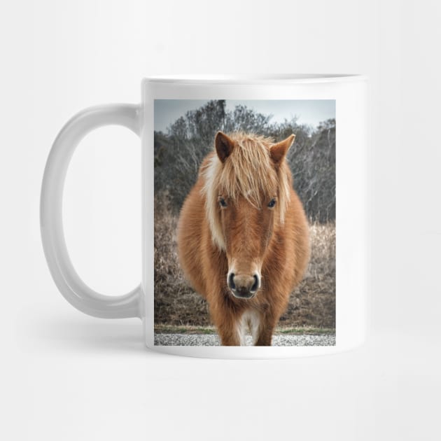 Assateague Island Horse Mieke’s Noe’lani by Swartwout